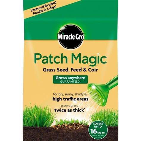 Magic Grass Seeds: Unveiling their Healing Powers